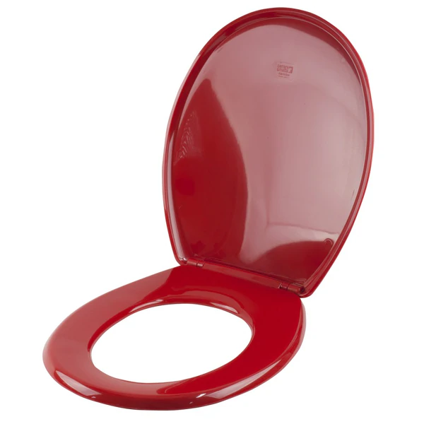 A Red Coloured Toilet Seat