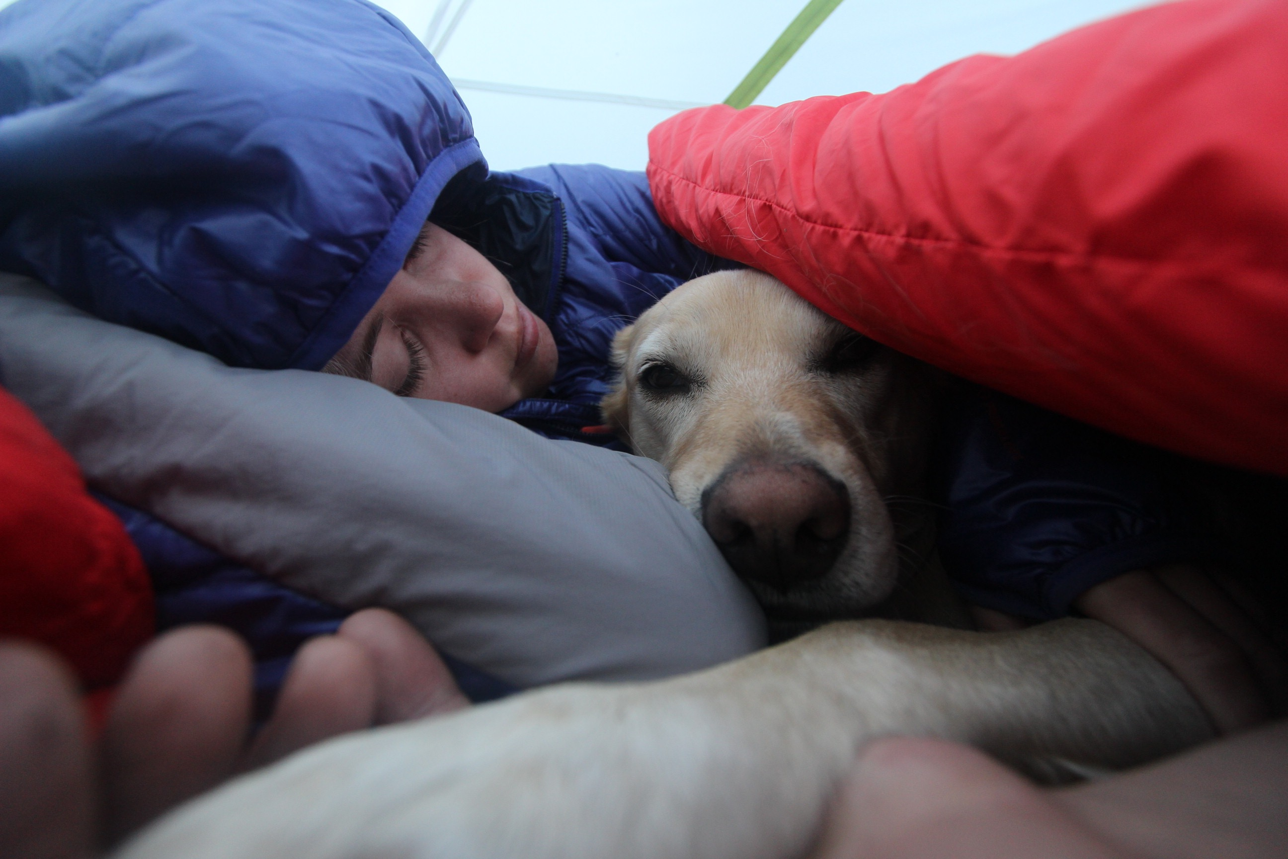 Charlie and Sarah staying warm in our sleeping bag on a very brisk morning.