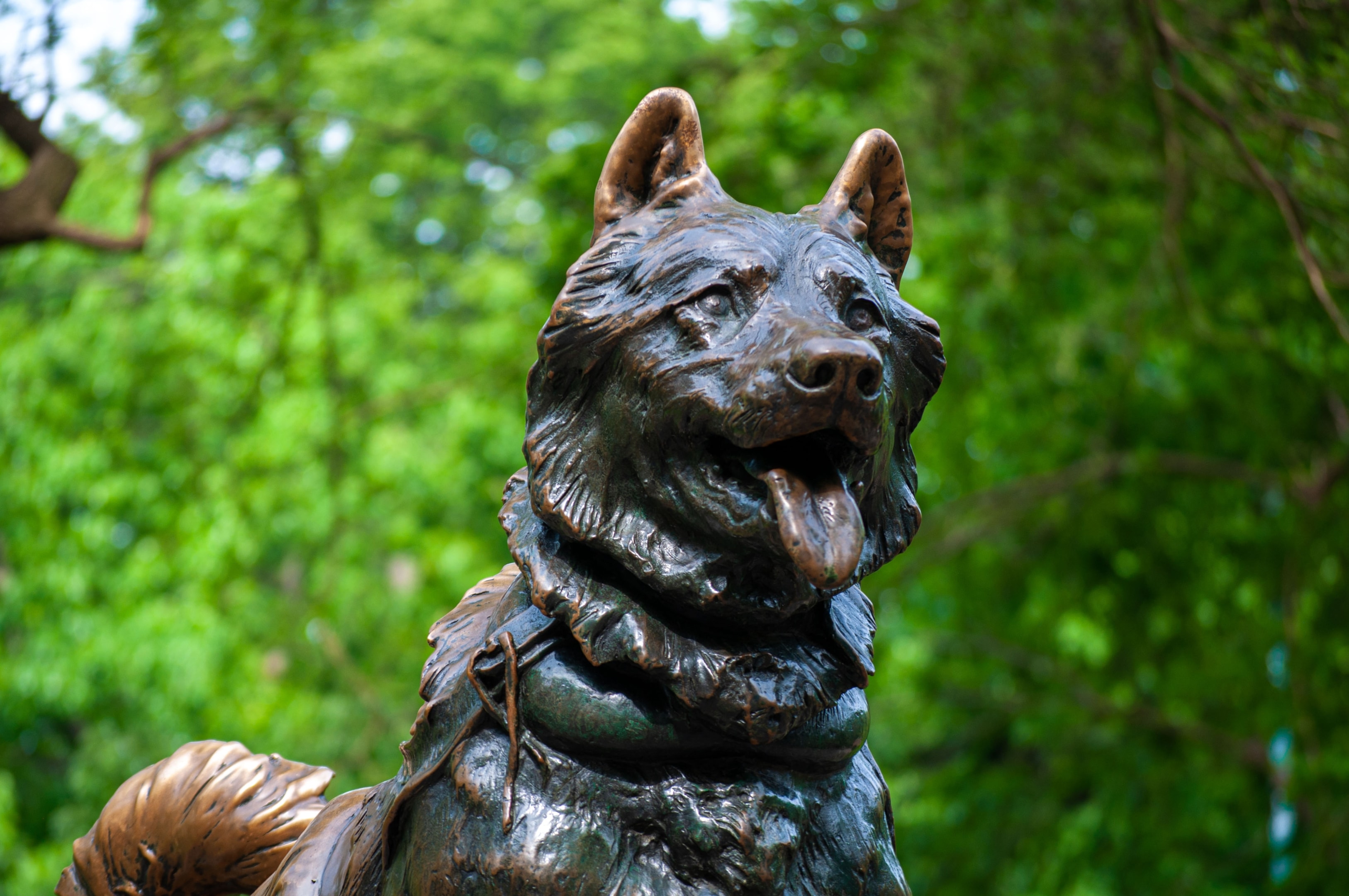 Statue of Balto famed for the serum run to Nome