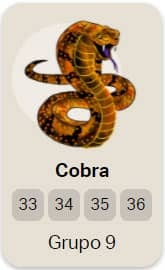 cobra no jogo do bicho