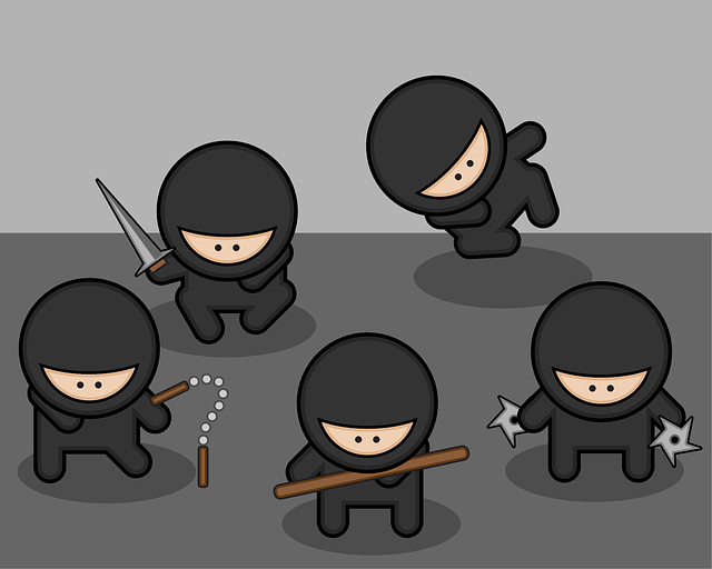 ninjas, fighters, fighter