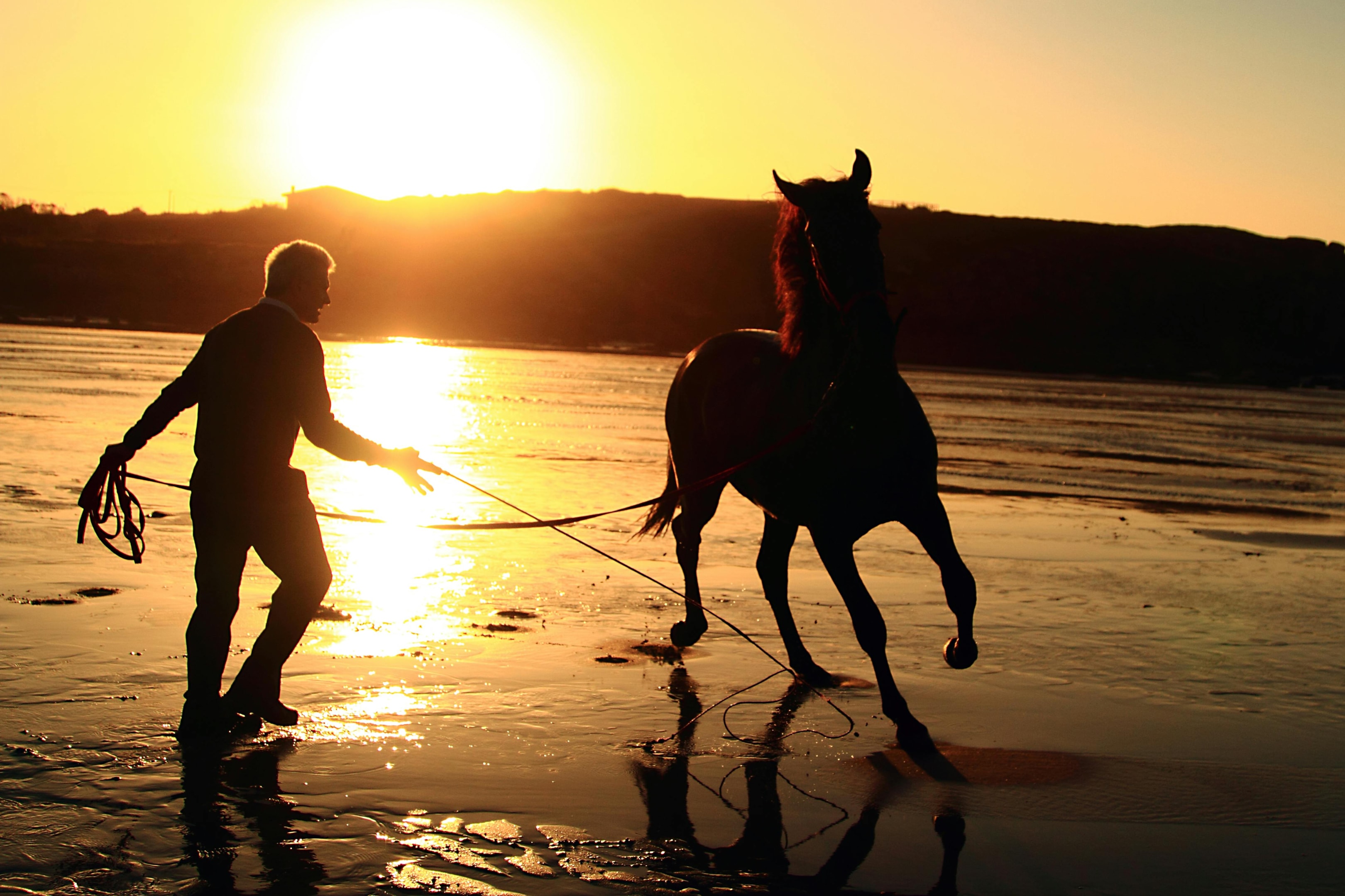Spanish horse on the beach.