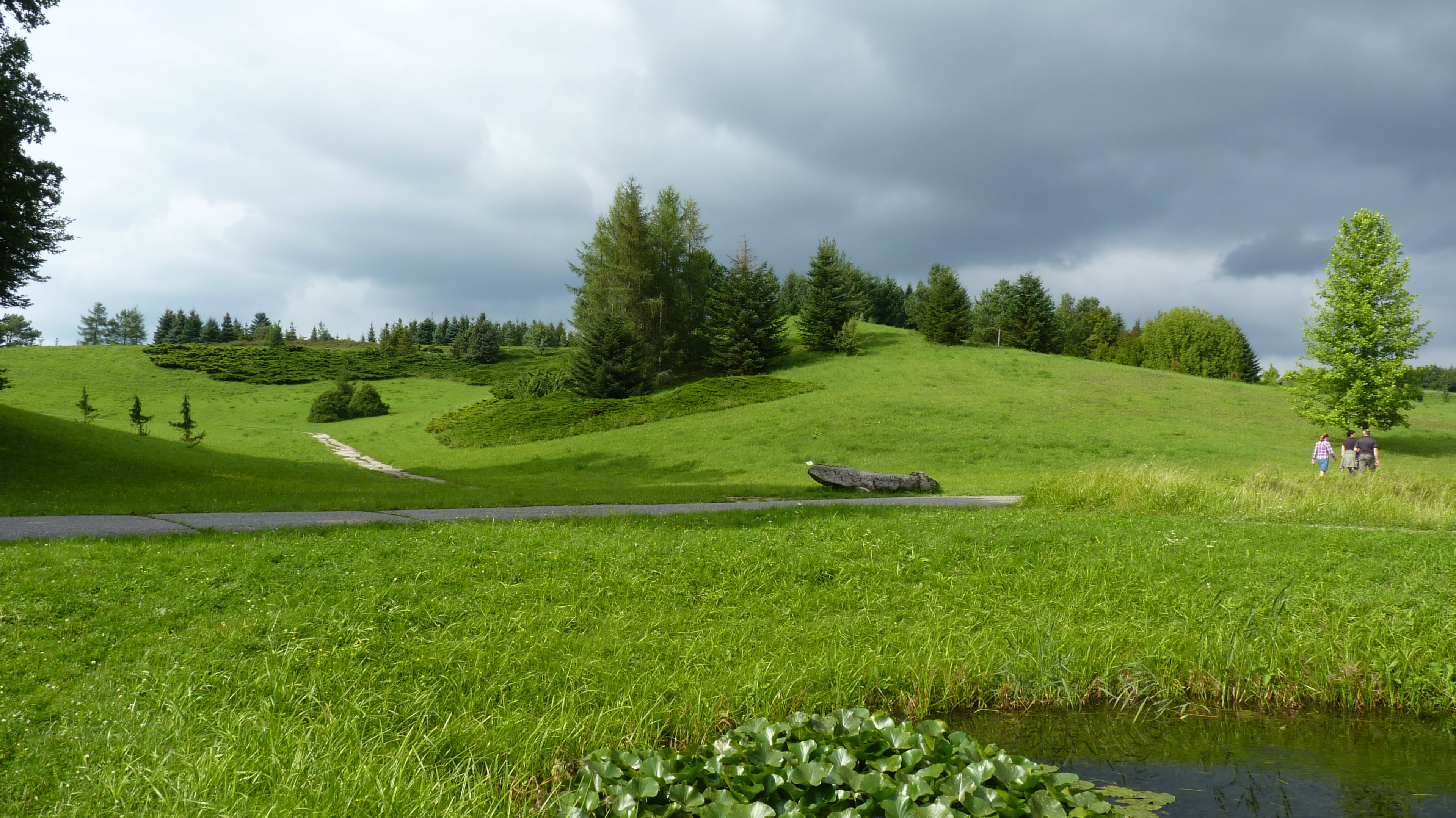 Ogród Botaniczny Myślęcinek (źródło: https://commons.wikimedia.org/wiki/File:Bydgoszcz_My%C5%9Bl%C4%99cinek_-_Ogr%C3%B3d_Botaniczny_-_panoramio_(2).jpg)