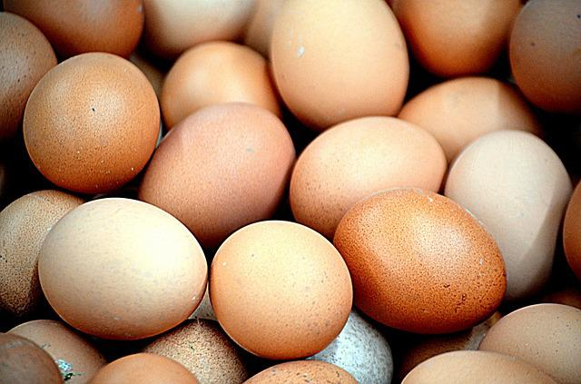 How To Clean & Store Fresh Eggs From Backyard Chickens - Gilmore's