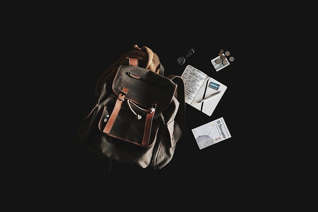 backpack, book, travel bag