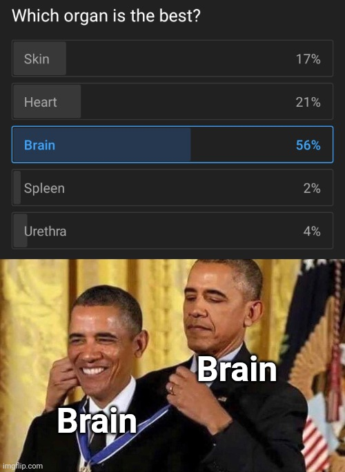 Brain congratulating the brain for giving the correct answer.