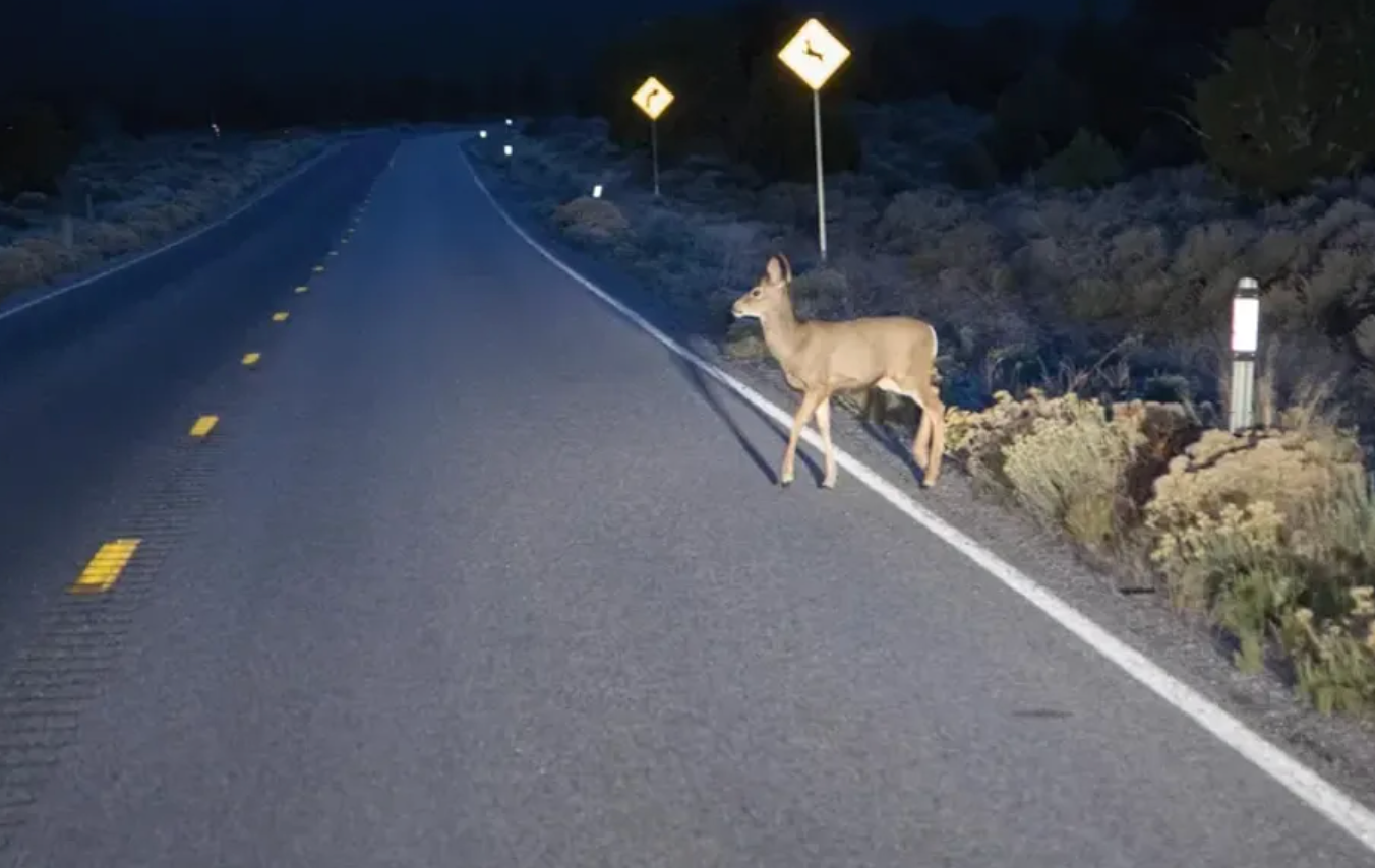 headlight in rural area