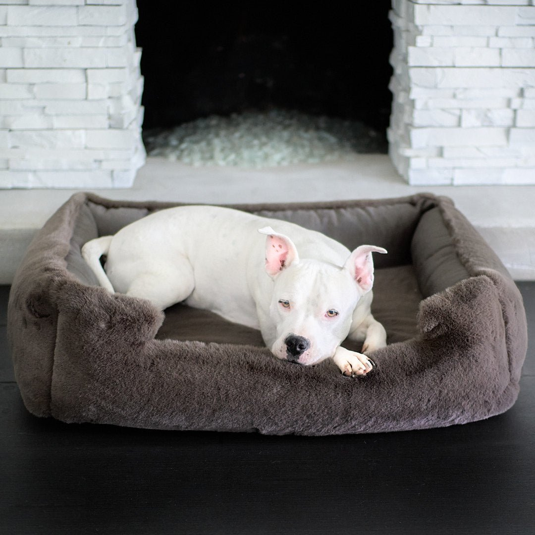 animals matter bolster dog bed and a link to purchase.