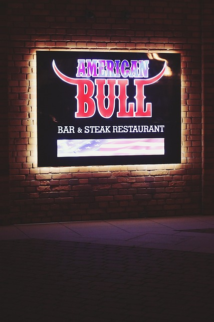american, bull, bar