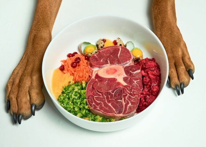 Raw Food Diets for Dogs