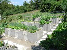 cinder blocks garden