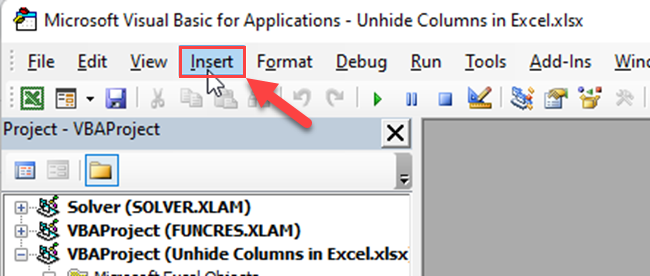 Click the "Insert" tab of the VBA Editor.