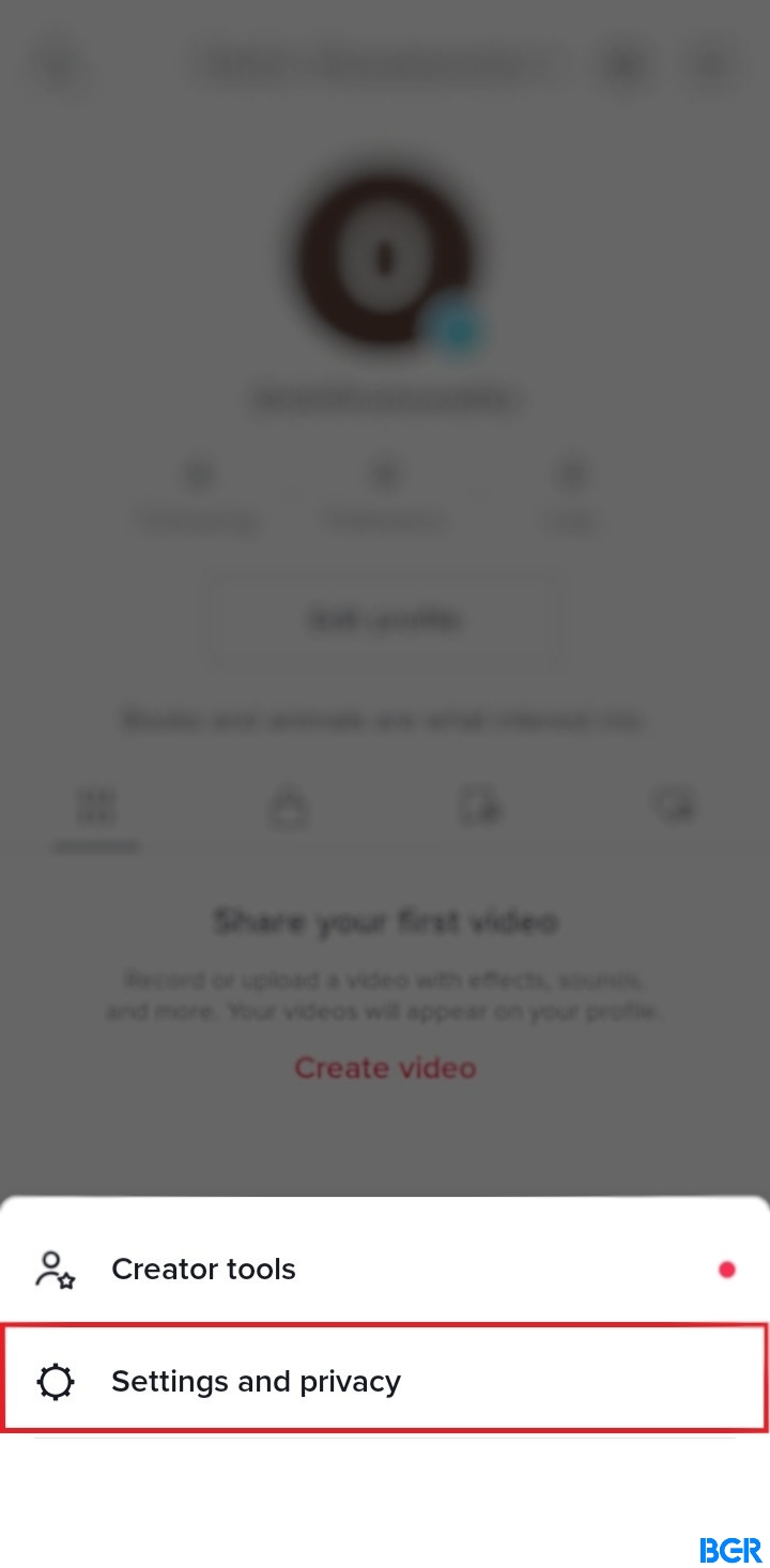 Settings & Privacy to enable TikTok profile viewer