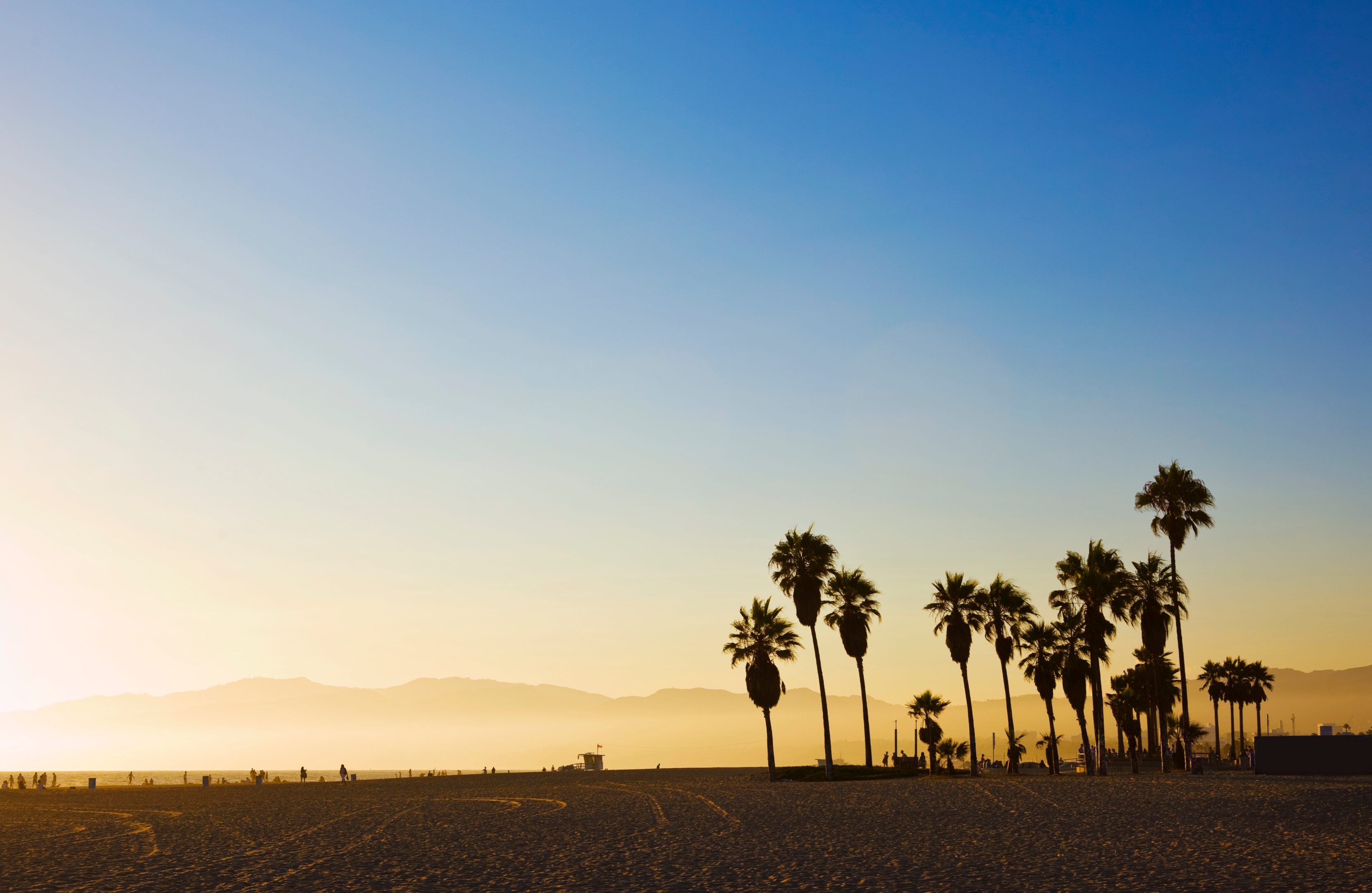 California beach with palm trees