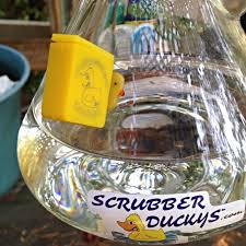Scrubber Ducky