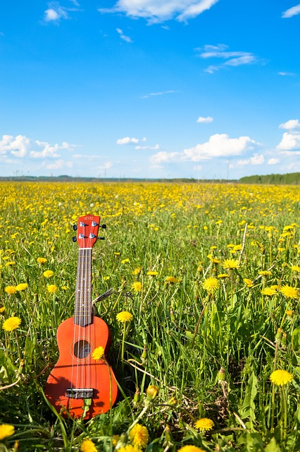 flower, flower background, guitar