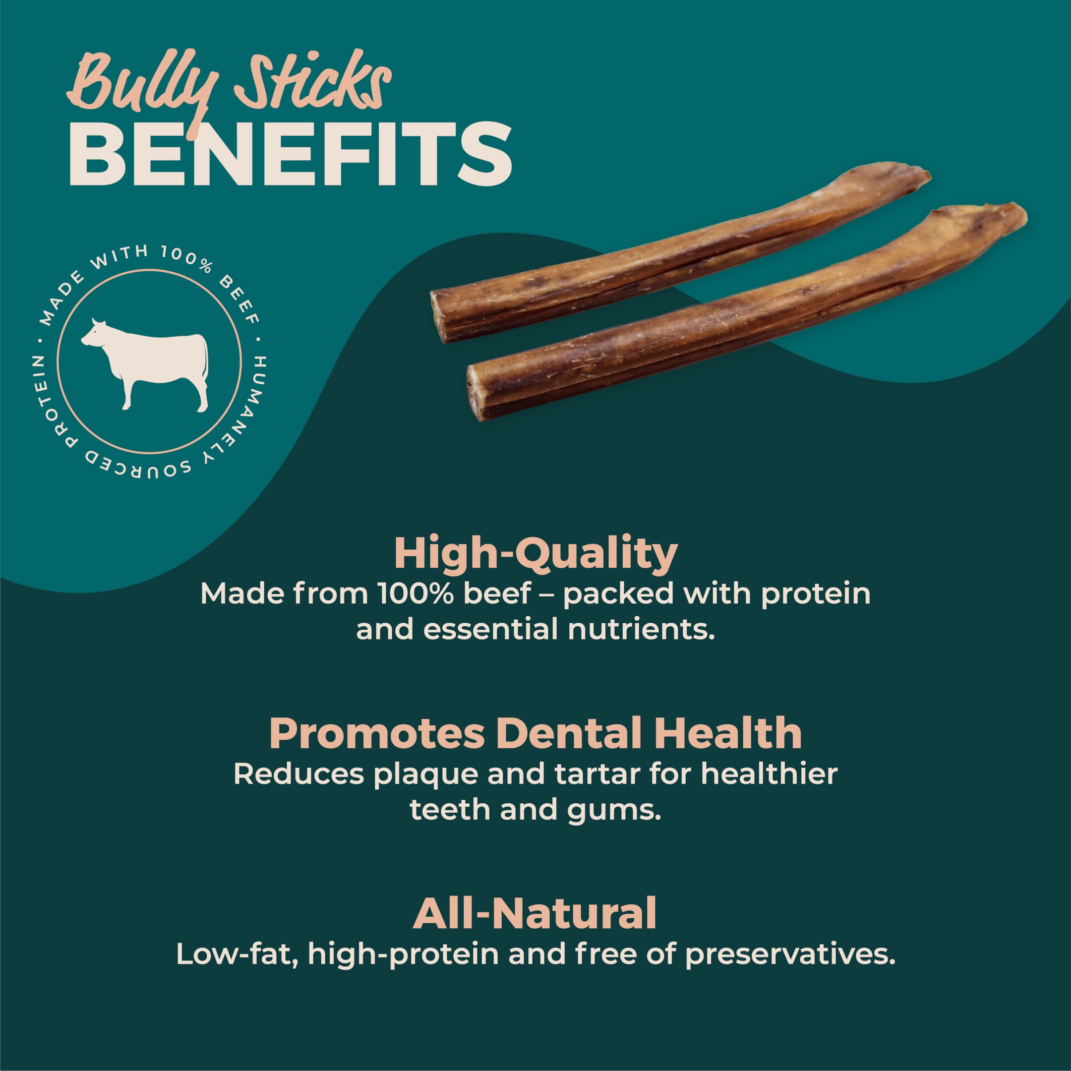 6 Inch Bully Sticks Benefits