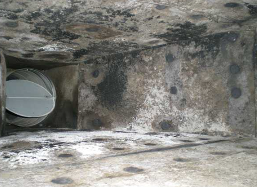 Mold in ductwork Pure Air Nation
