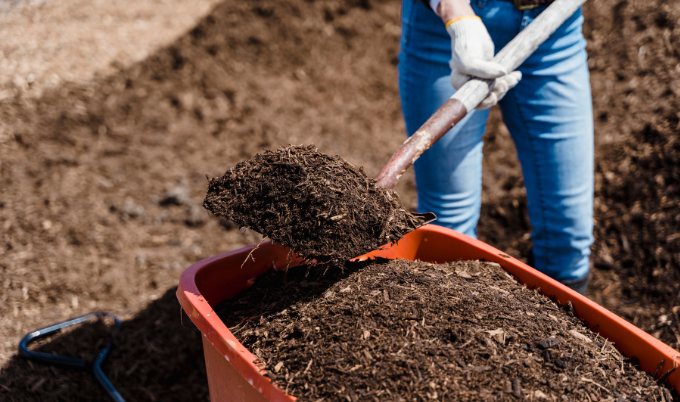 A mulch mix made of shredded leaves and compost. 