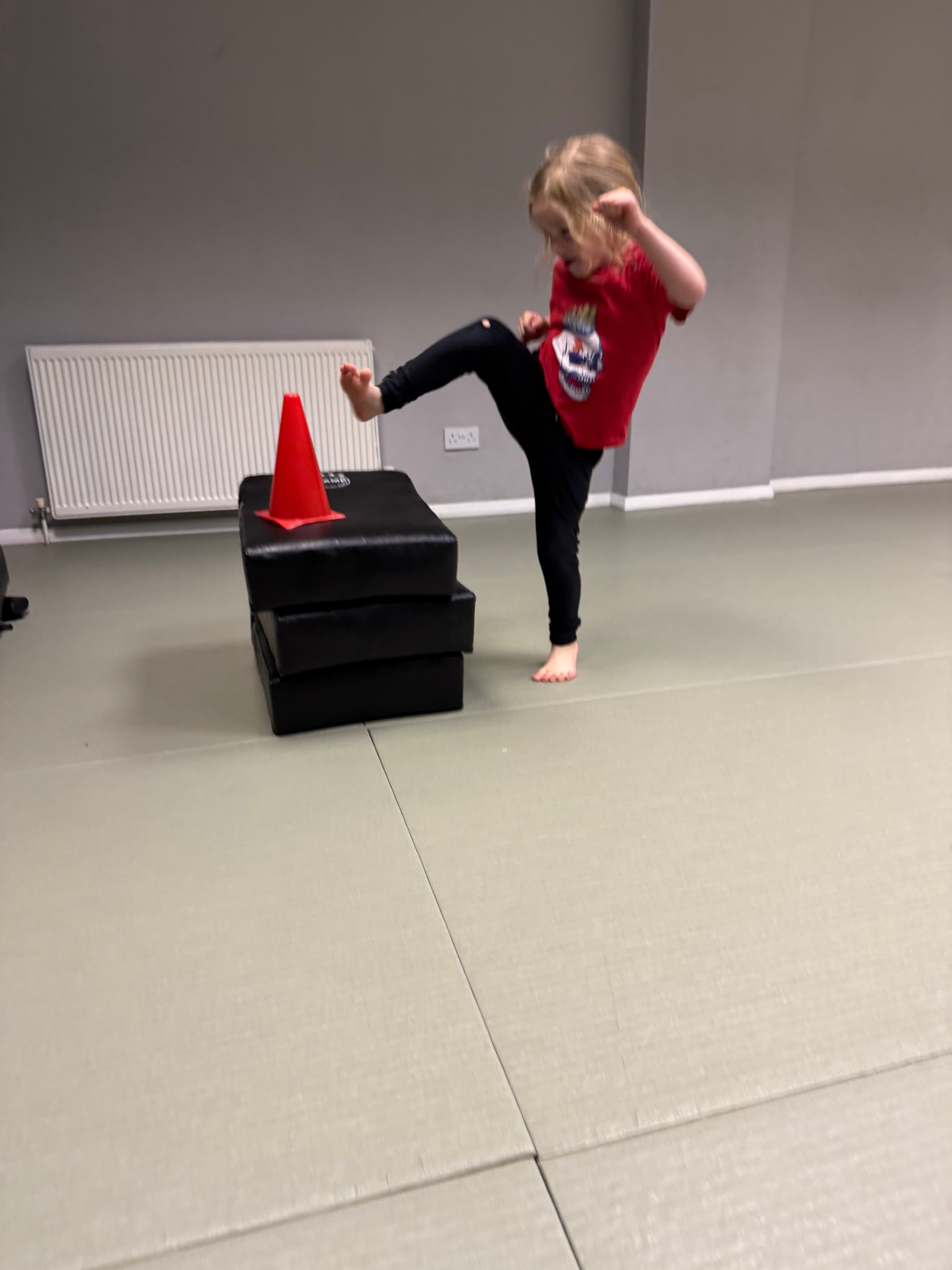 Preschool martial arts clubs teach self-control, self-discipline, life skills, physical skills, and self-defence skills.