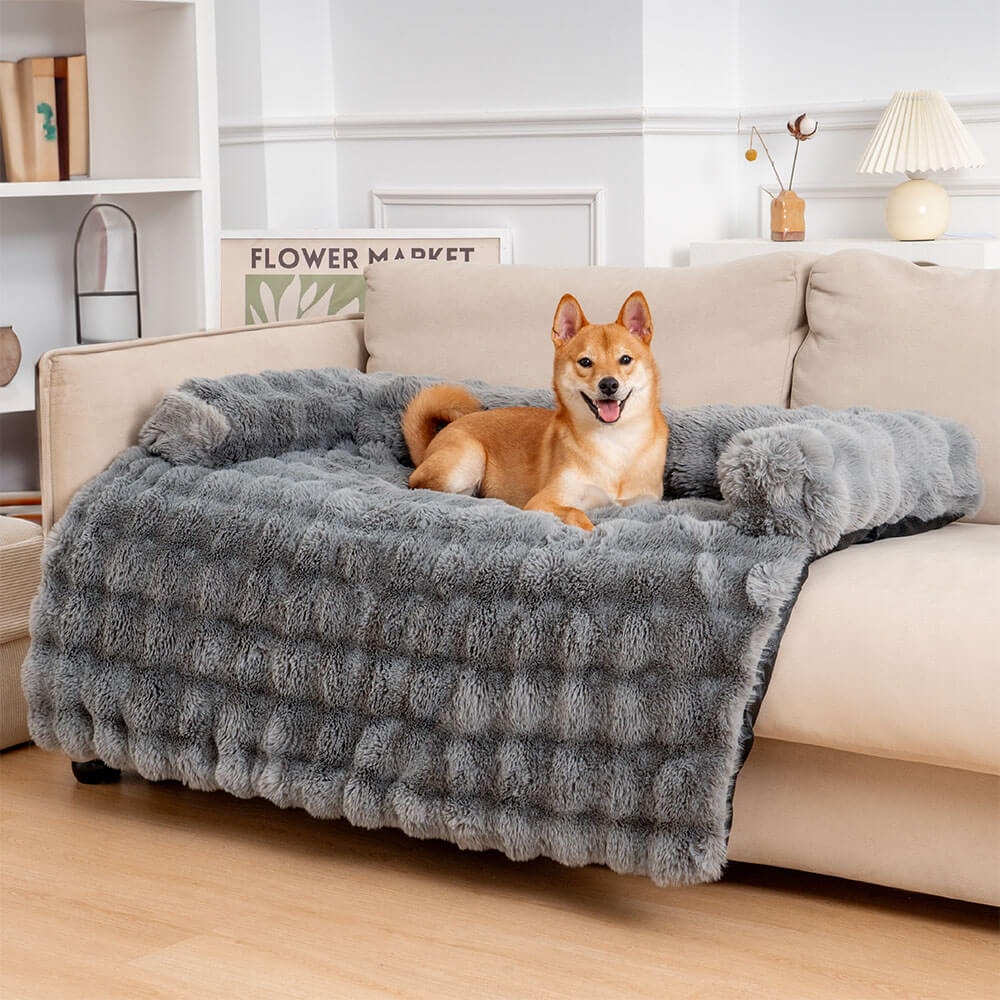 Sofa Covers for Dog Owners