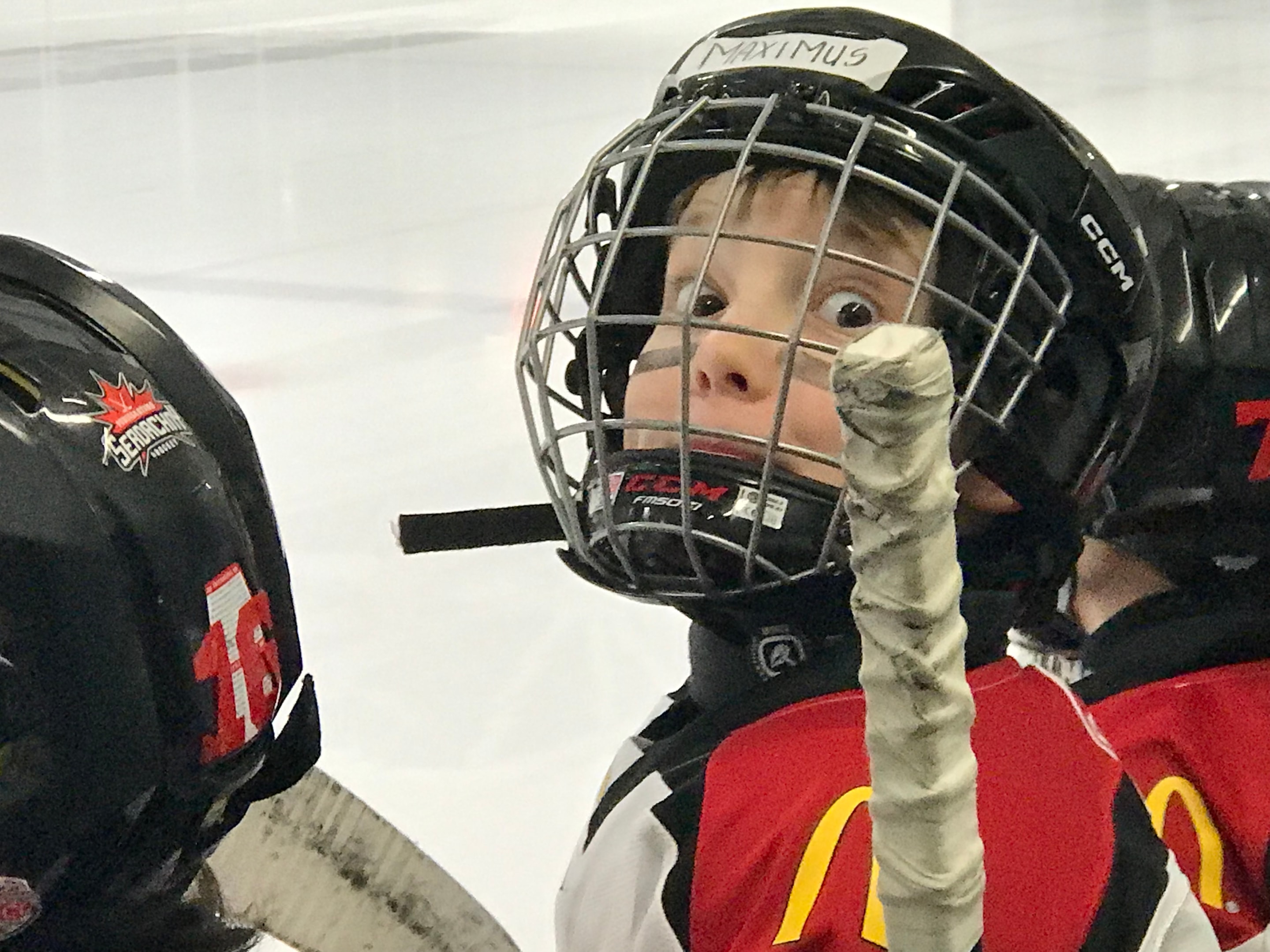 Summer Player development programs help a hockey player reach their full potential