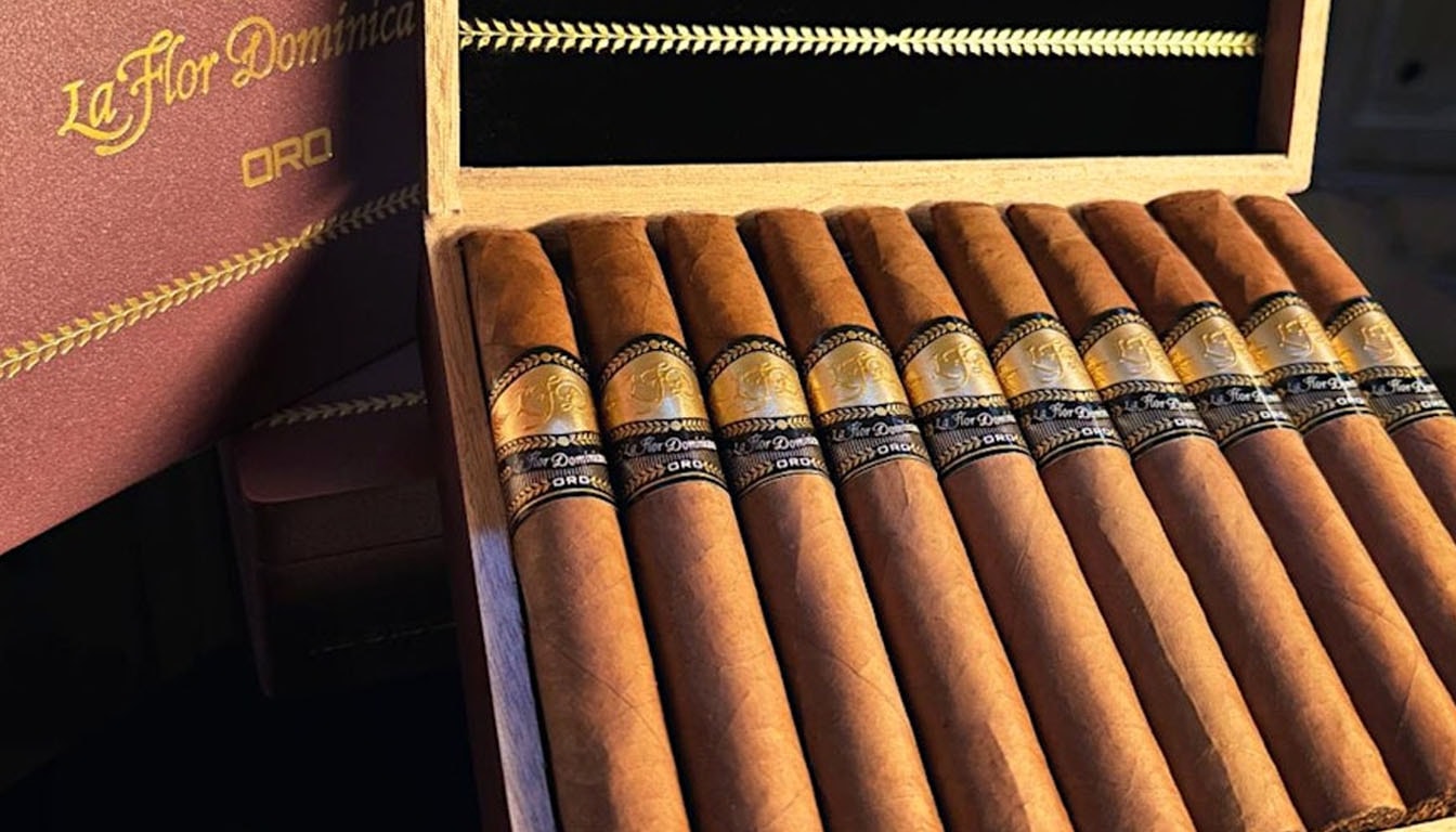 20 count boxes of cigars displayed with a focus on their packaging.