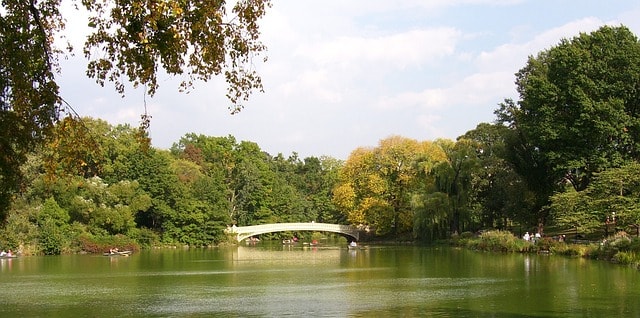 Exploring Central Park with Kids