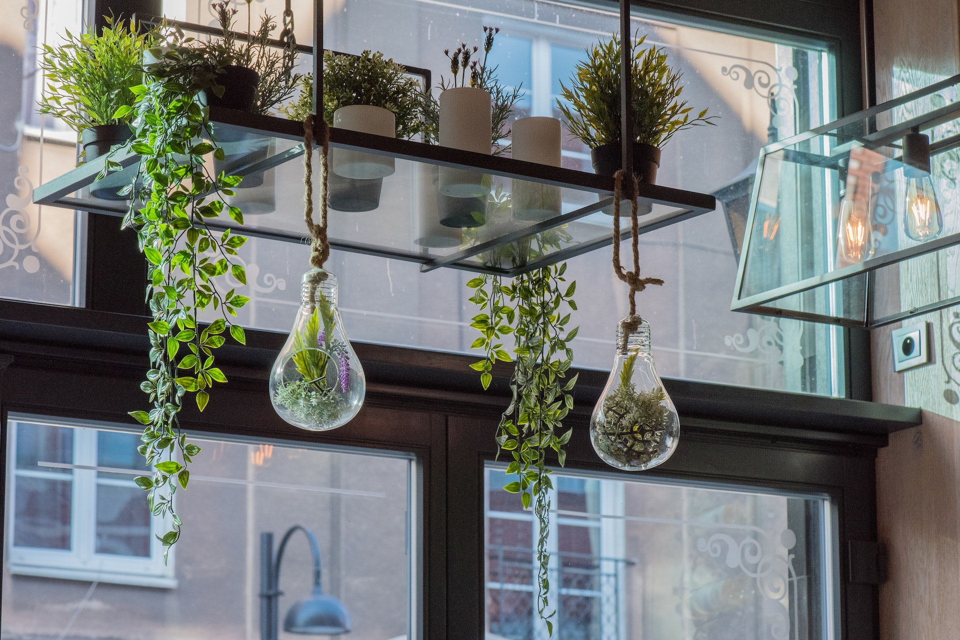 Choose Your Plants for indoor gardening ideas