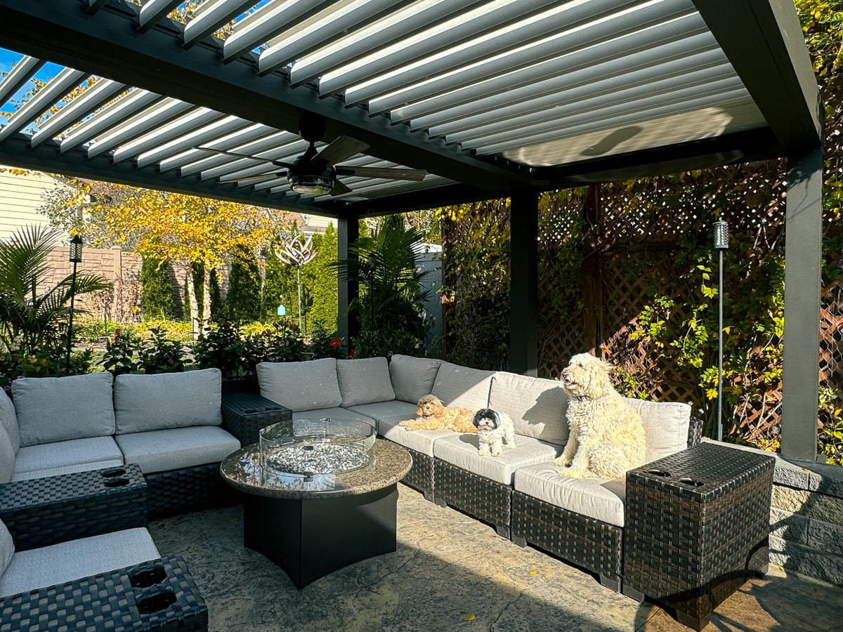 Puppies enjoying the outdoor furniture next to a natural gas heater installed under a pergola.