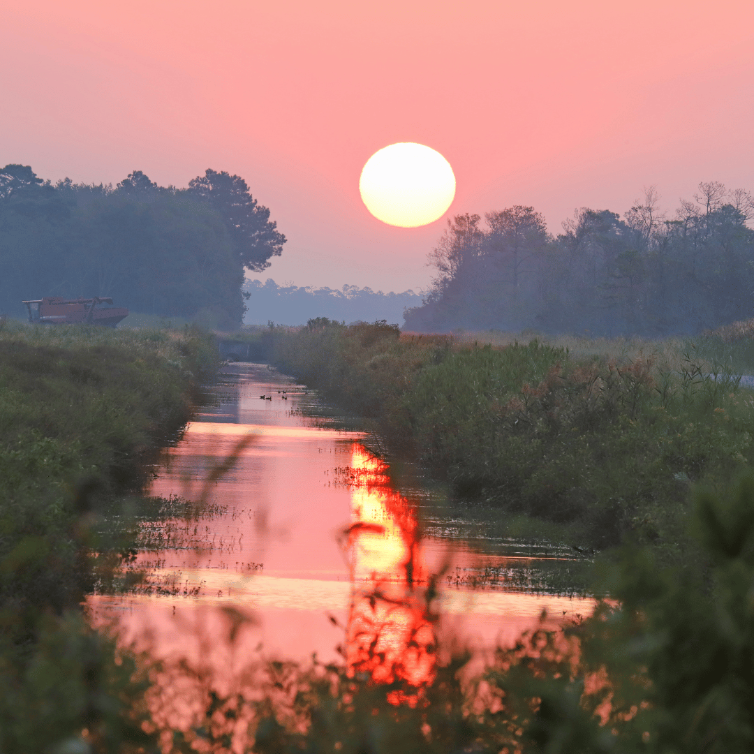 Sunset at Alligator River National Wildlife Refuge