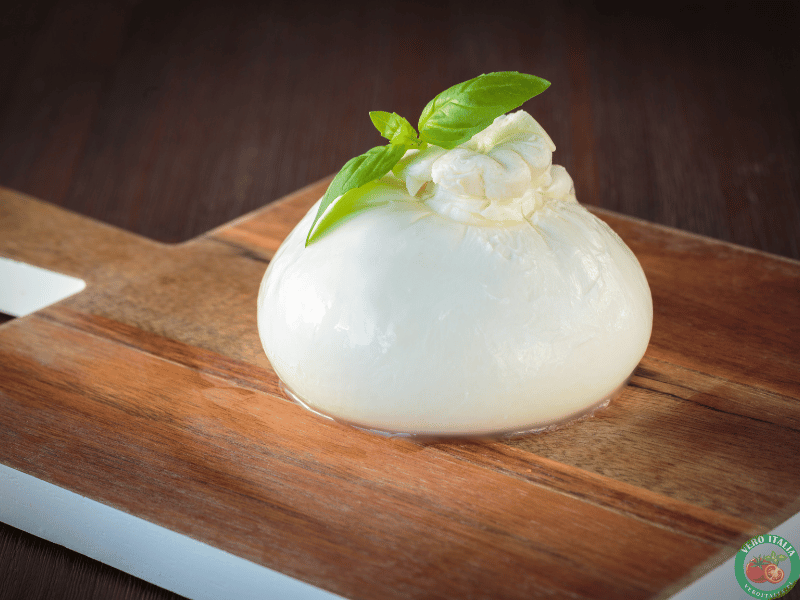 burrata
