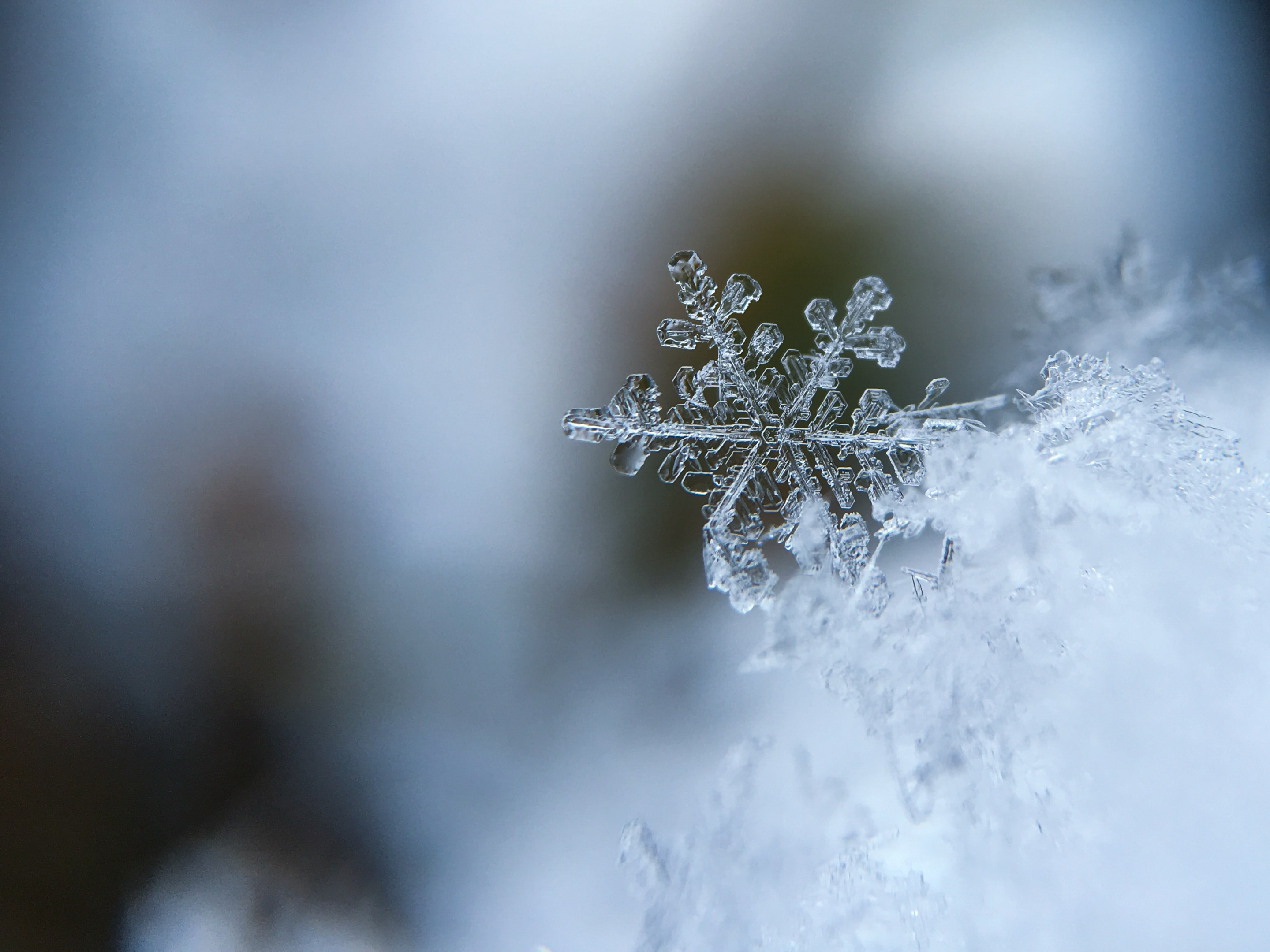 A close up photo of a snow flake.