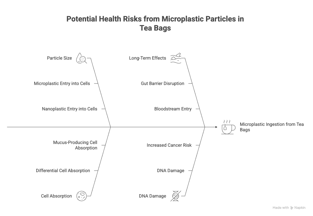 Potential Health Risks from Microplastic Particles in Tea Bags