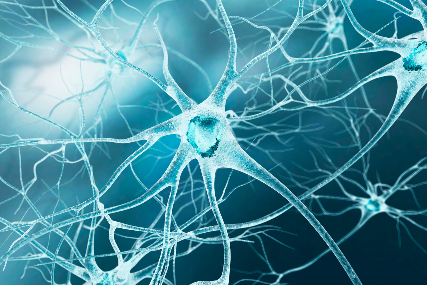 Illustration of nerves.