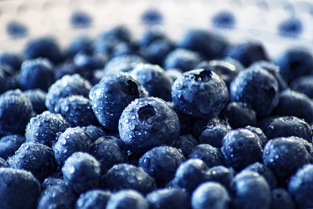 blueberries, fruit, healthy