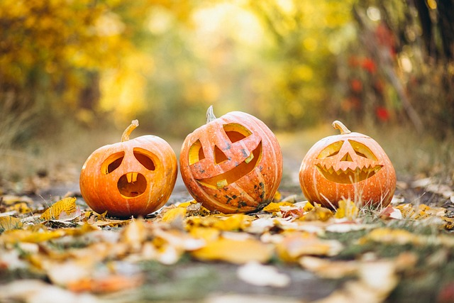 pumpkin, halloween goodies, tradition