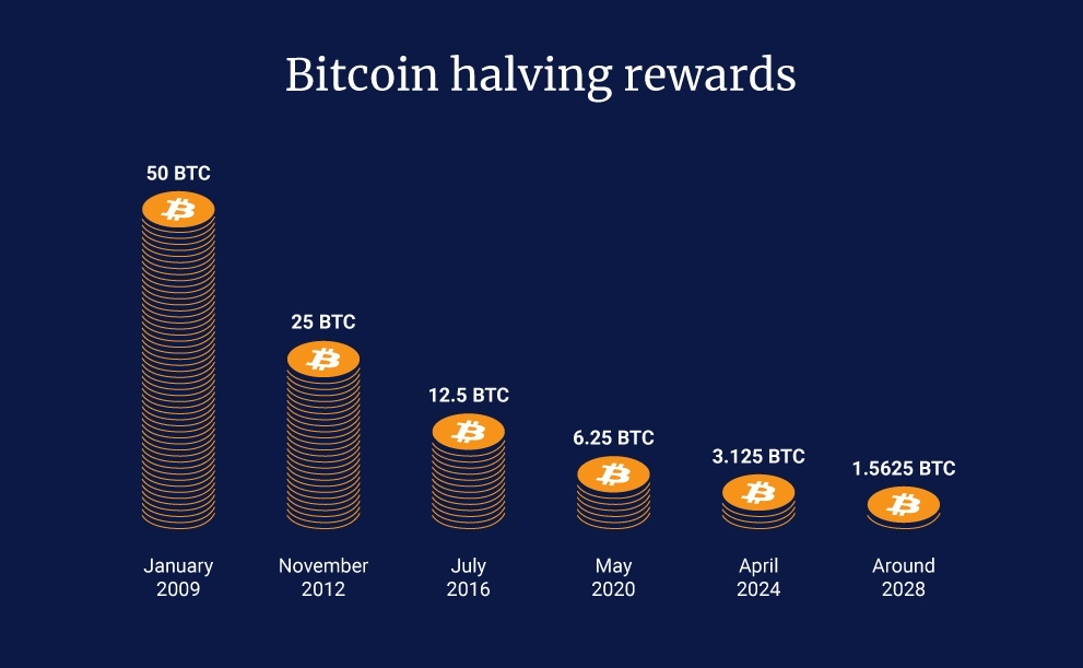 Bitcoin halvings - Future – events – risk – values – reflect - affected – bitcoin – blockchain – blockchain technology – crypto assets – digital assets  Illustration of Bitcoin halvings every 4 years.