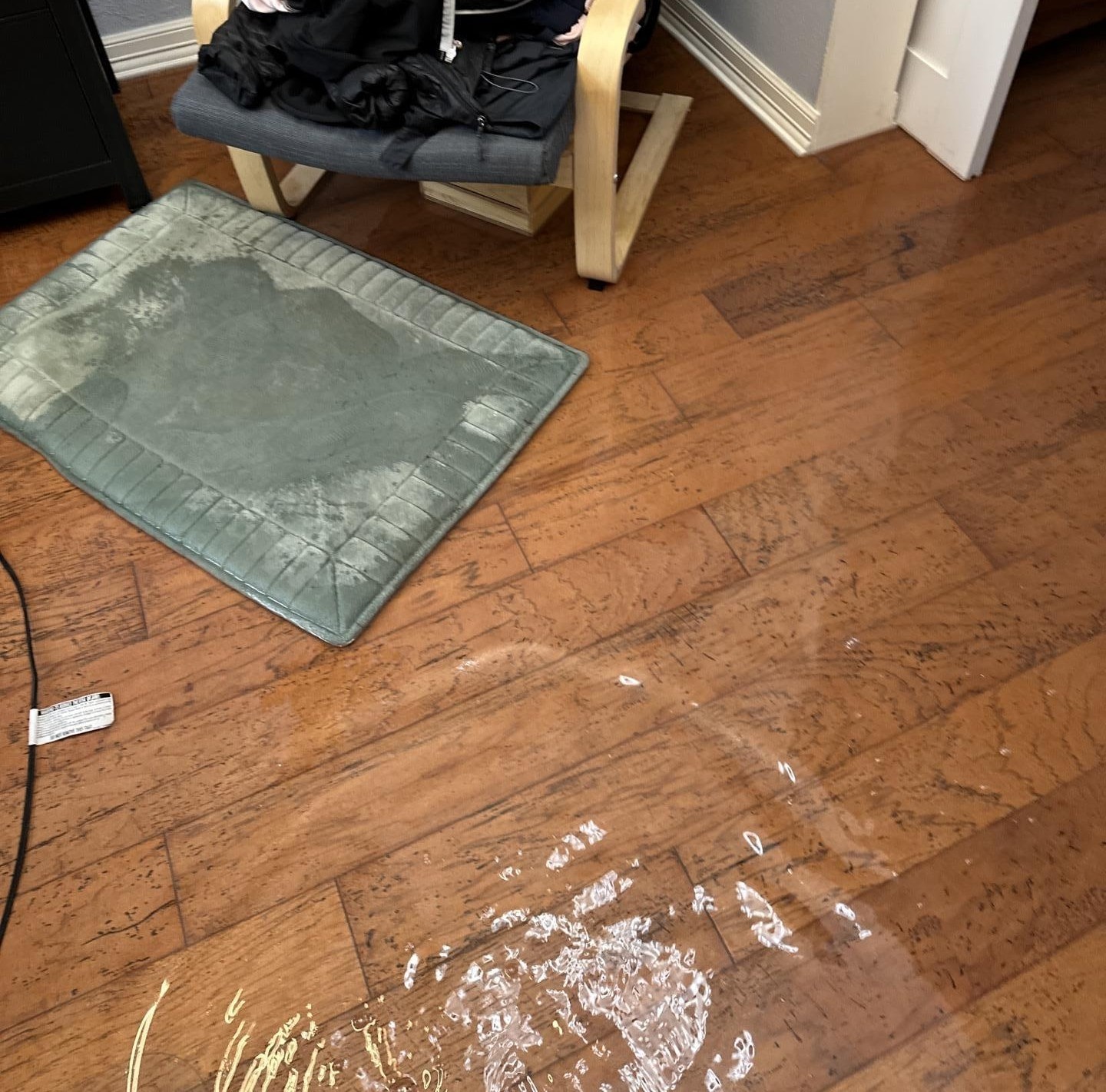 The image depicts standing water on hardwood flooring inside a residential home, highlighting the potential for water damage caused by issues such as a burst pipe or leaking plumbing. Homeowners may need to file water damage claims with their insurance company to cover the expenses related to repairs and mold remediation.