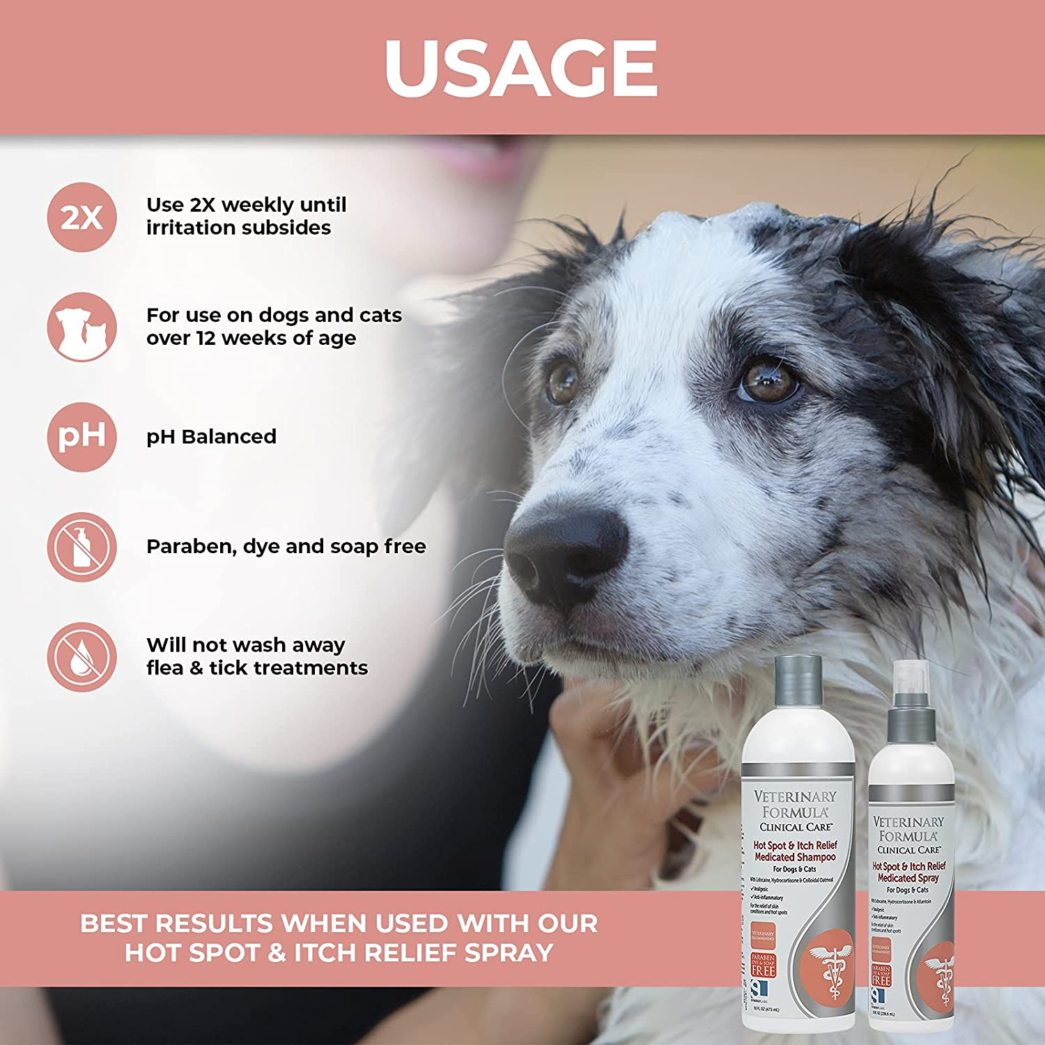 Best Dog Shampoo for Itchy Skin