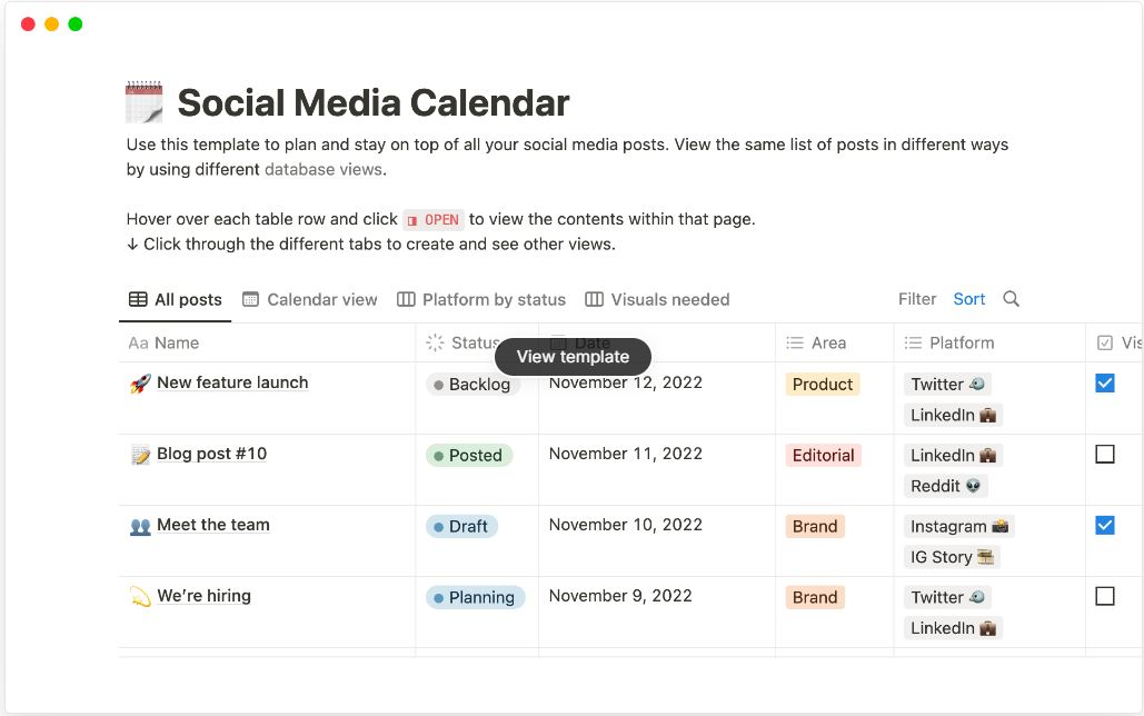 notion template - social media calendar