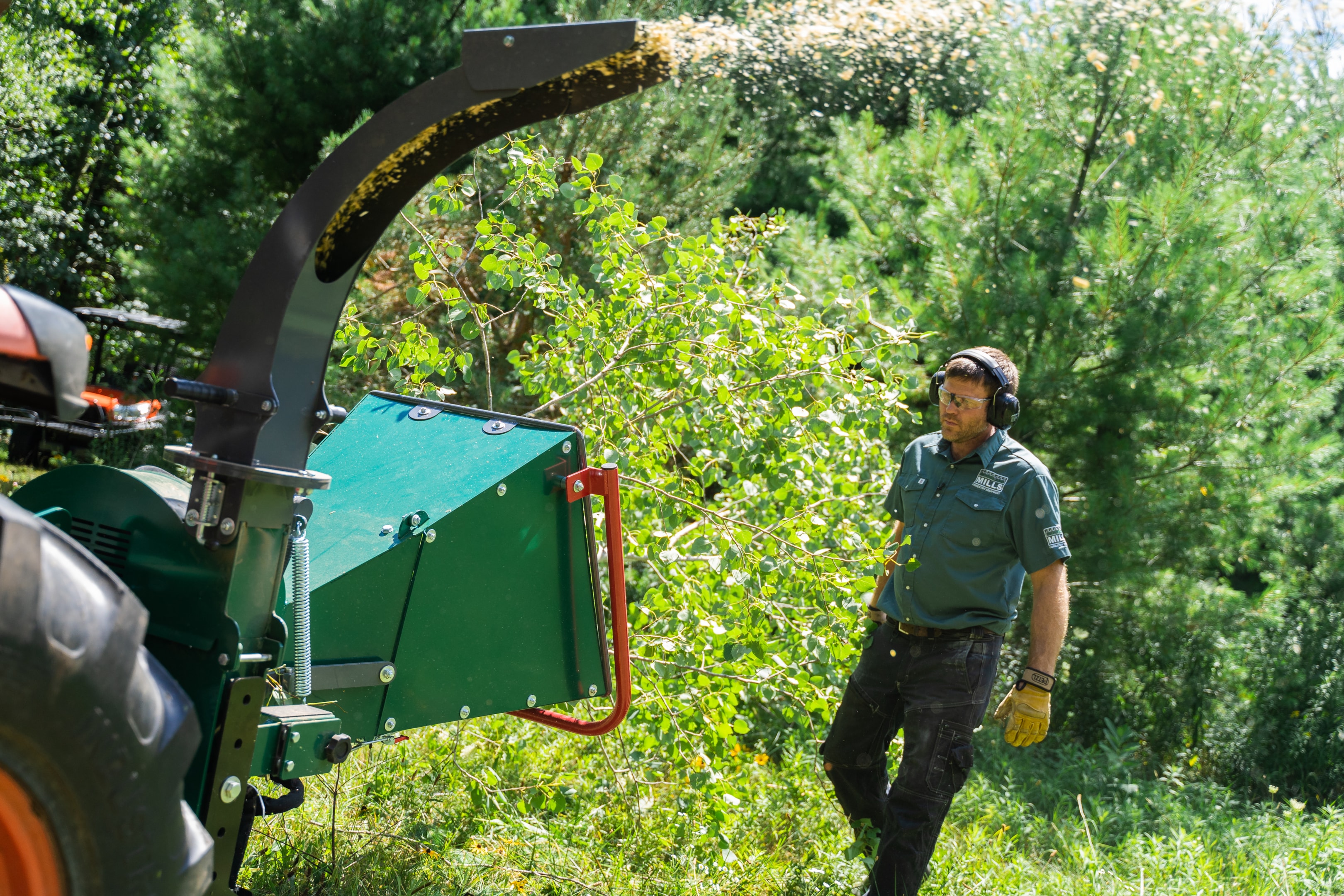 A woodlot owner turning a tree into wood chips.