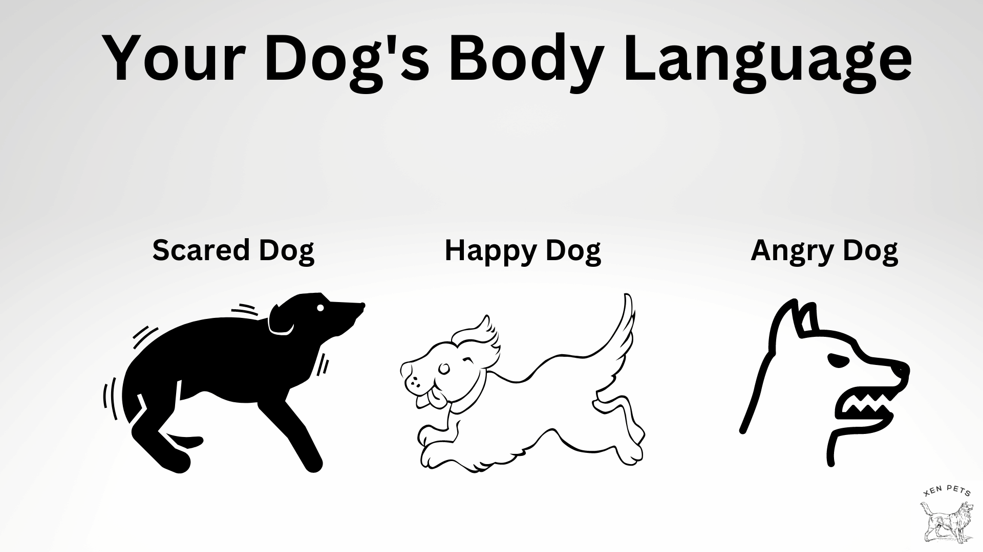 Dog's Body Language