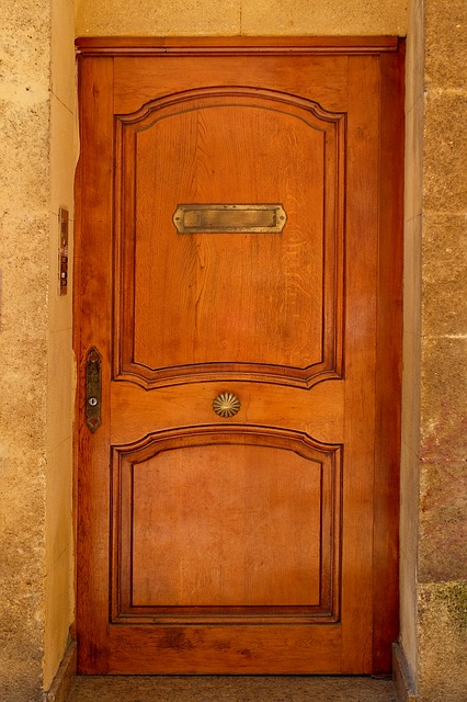 wood, wooden, door, mahogany wood door