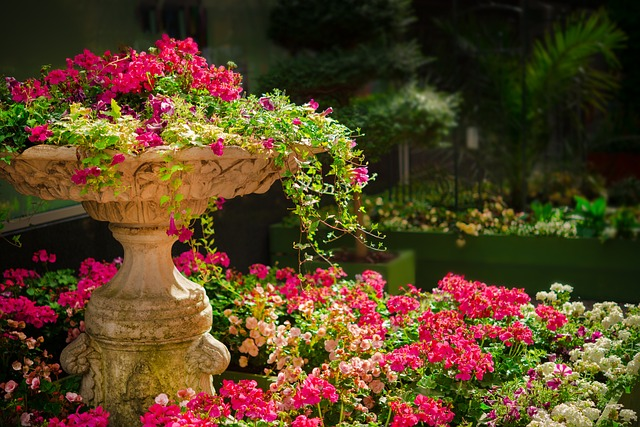 garden, flowers, plants, So many great photo ops at the Naples Botanical Garden, Historic Buildings