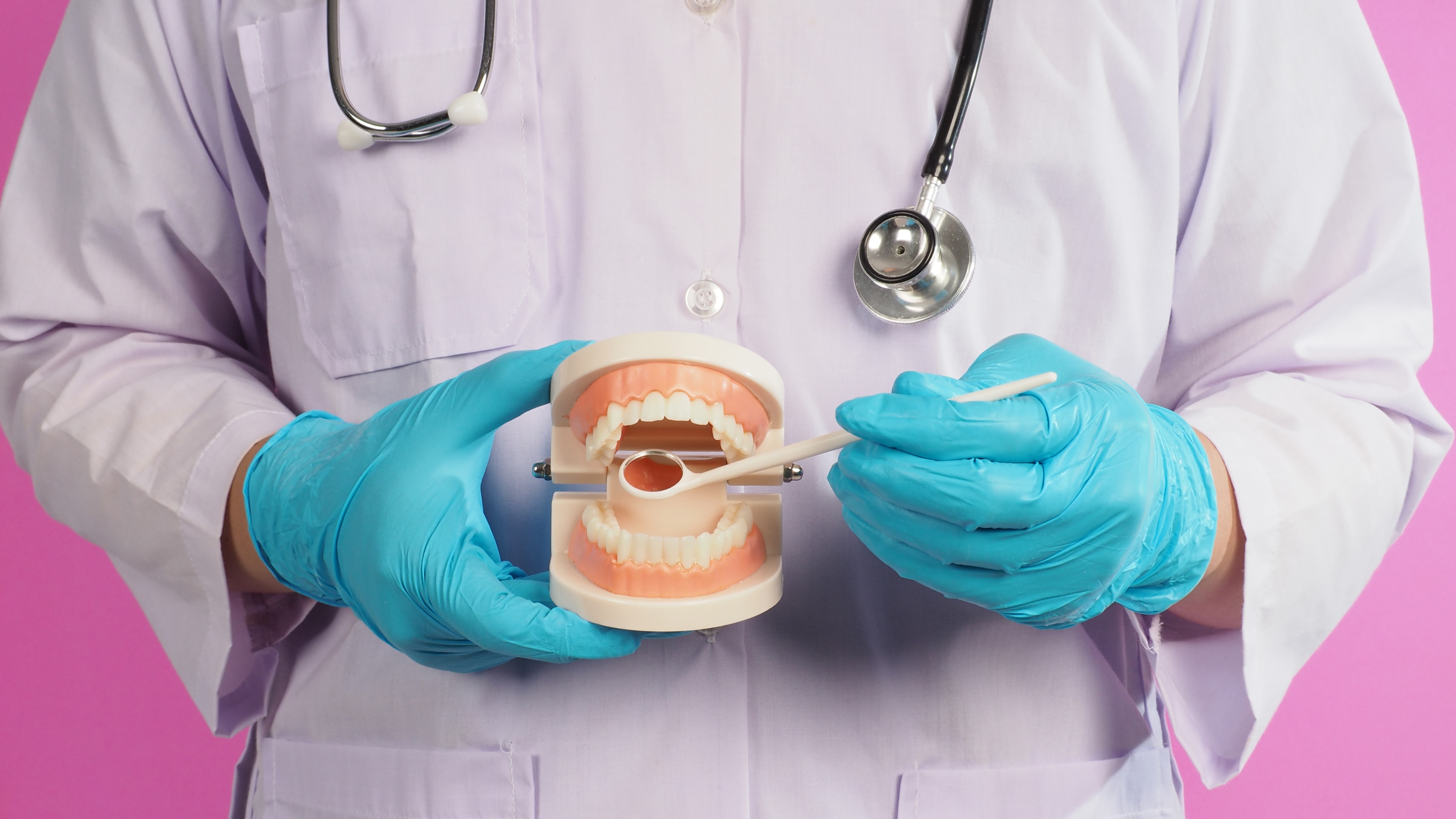 Dental model used to represent tooth extraction