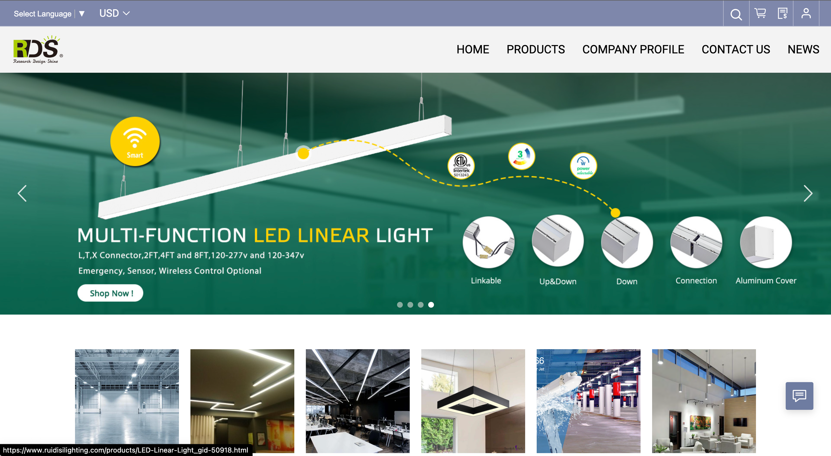 Shenzhen Ruidisi Lighting Co., Ltd. 