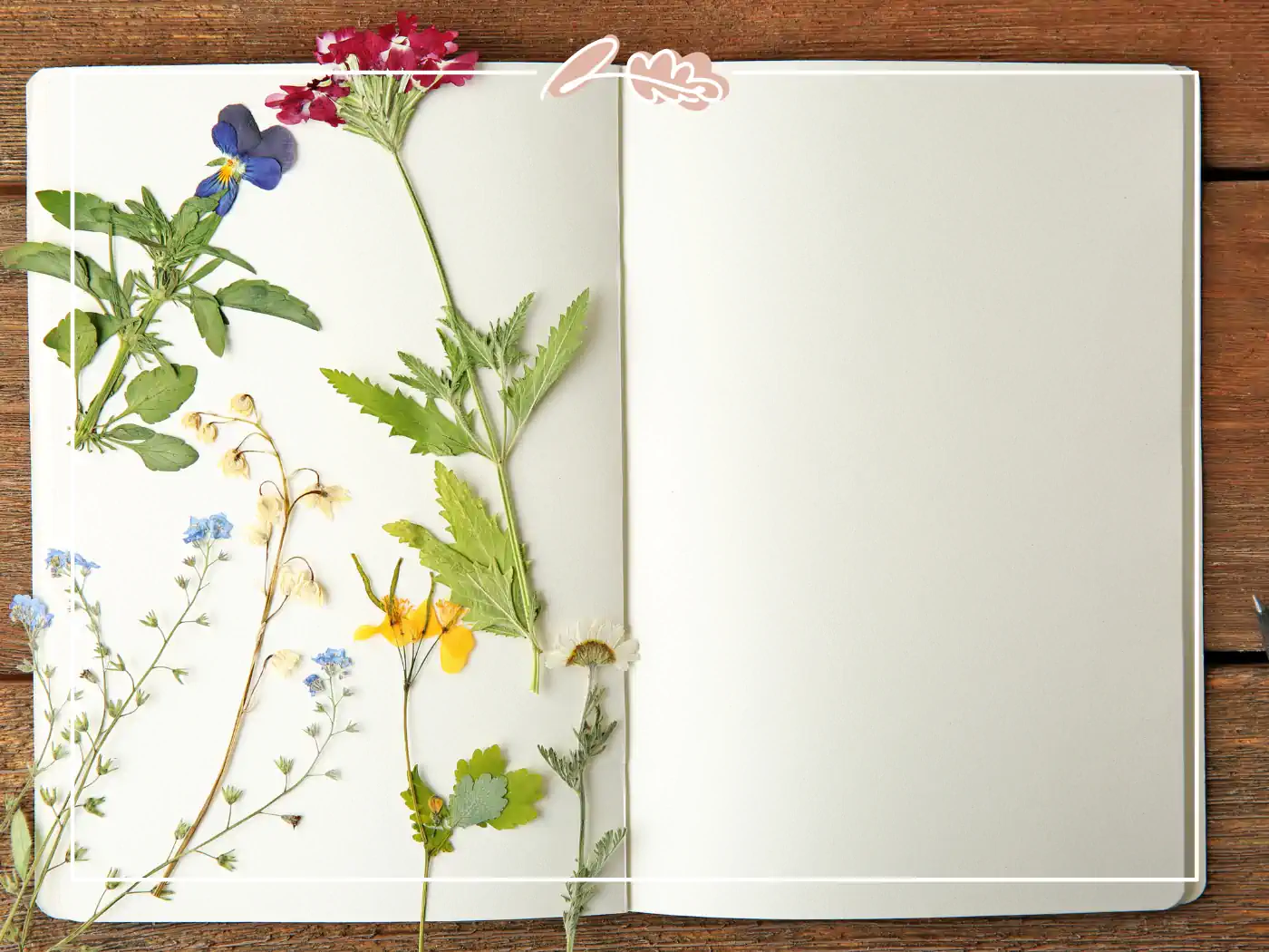 Open book with pressed flowers and leaves laid out on the pages, Fabulous Flowers and Gifts