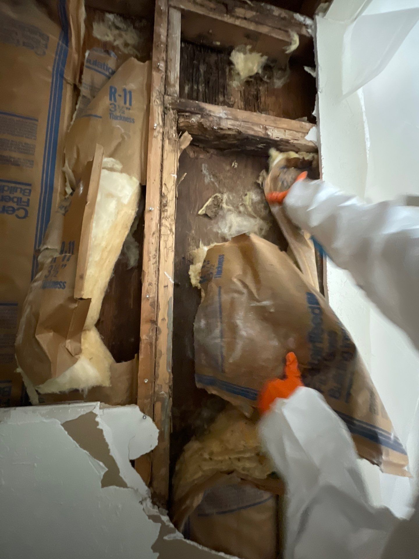 Mold remediation often includes removing insulation.
