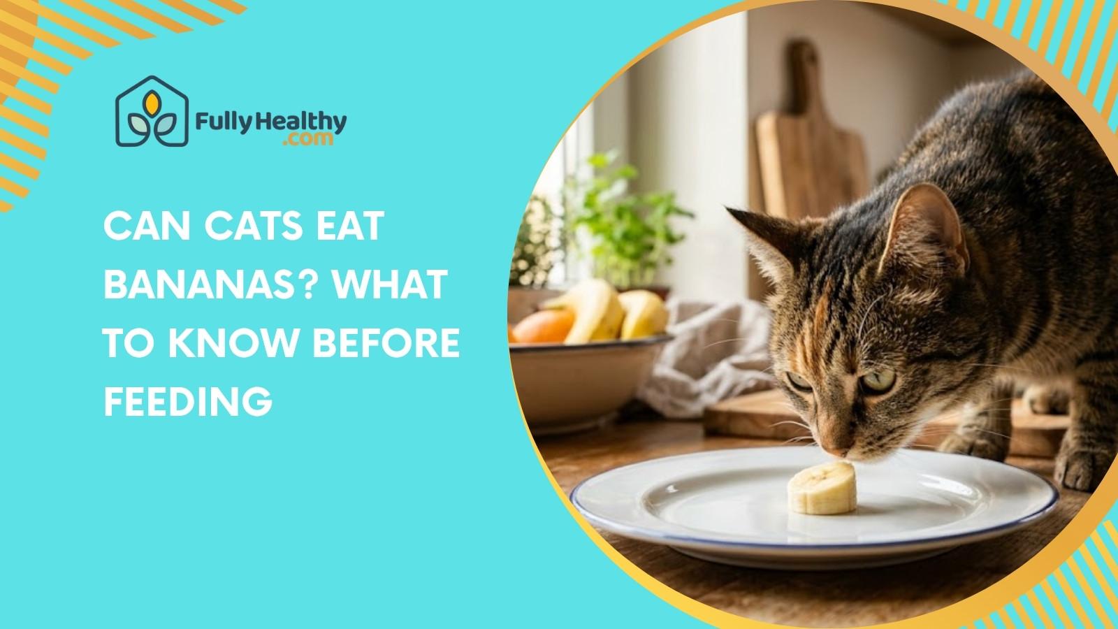 Can Cats Eat Bananas? What to Know Before Feeding